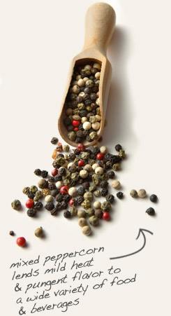 [ tip: Infuse organic brown mustard seeds in olive oil with mixed peppercorns for zesty salad dressings. ~ from Monterey Bay Herb Company ]