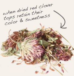 [ tip: Combine motherwort herb with red clover tops in tea blends. ~ from Monterey Bay Herb Company ]