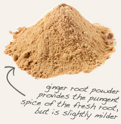 [ ginger root ]