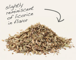 [ tip: Brew tea from coriander and fennel seed to ease an upset stomach. ~ from Monterey Bay Herb Company ]