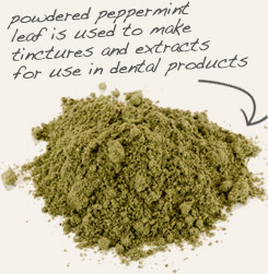 [ tip: Steep in hot water with peppermint leaf to make a homemade mouth rinse.   ~ from Monterey Bay Herb Company ]