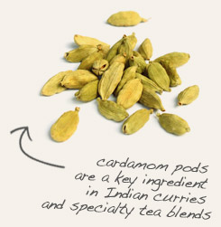 [ tip: Combine with whole cardamom pods in tea blends, including herbal chai.  ~ from Monterey Bay Herb Company ]