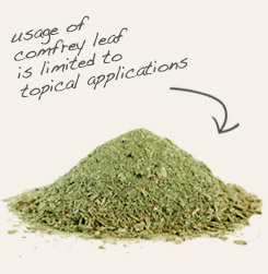 [ tip: Combine with comfrey when making infused oils for topical salves and ointments.  ~ from Monterey Bay Herb Company ]