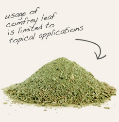 [ tip: Combine with comfrey when making infused oils for topical salves and ointments.  ~ from Monterey Bay Herb Company ]