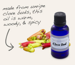 [ tip: Diffuse with clove essential oil to scent an entire room with warm spicy fragrance. ~ from Monterey Bay Herb Company ]