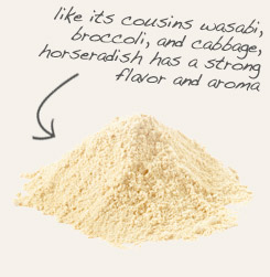 [ horseradish ]