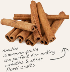 [ tip: Infuse powdered elderberry and whole cinnamon sticks together when making syrups and sauces.   ~ from Monterey Bay Herb Company ]