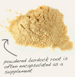 [ tip: Pair nettle leaf powder with powdered burdock root as a dietary supplement.  ~ from Monterey Bay Herb Company ]