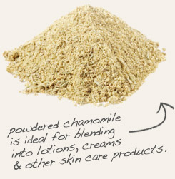 [ powdered chamomile tip: Mix green clay powder with powdered chamomile flowers and a small amount of water to make a soothing skin treatment.  ~ from Monterey Bay Herb Company ]