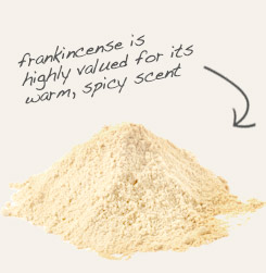 [ frankincense powder tip: Mix organic cinnamon powder with powdered frankincense to make fragrant incense.  ~ from Monterey Bay Herb Company ]