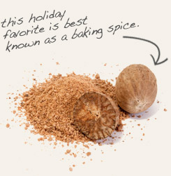 [ nutmeg ]
