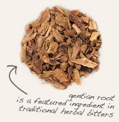 [ tip: Partner goldenseal root with dried gentian root when making traditional herbal bitters.  ~ from Monterey Bay Herb Company ]