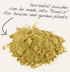 [ tip: Combine nettle leaf powder with horsetail powder to make an “herbal tea” for house and garden plants ~ from Monterey Bay Herb Company ]