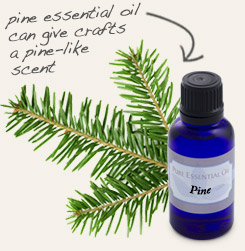 [ tip: Combine with pine essential oil and white vinegar to make an antibacterial counter spray. ~ from Monterey Bay Herb Company ]
