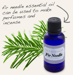 [ tip: Diffuse with fir needle essential oil to promote restful sleep. ~ from Monterey Bay Herb Company ]