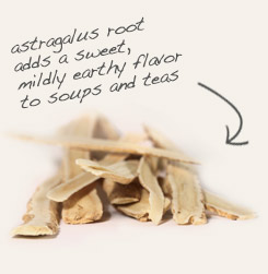astragalus root