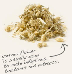 [ tip: Partner with yarrow flower when making skin care preparations.  ~ from Monterey Bay Herb Company ]
