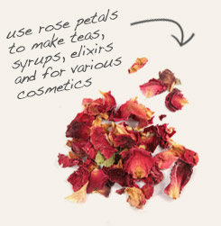 [ tip: Combine marshmallow root with rose petals in tea blends.  ~ from Monterey Bay Herb Company ]
