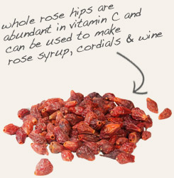 [ tip: Tincture grape seeds and rose hips together for greater antioxidant value.  ~ from Monterey Bay Herb Company ]