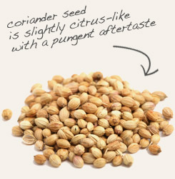 [ tip: Partner fennel seed with whole coriander seed in your favorite Indian recipes.  ~ from Monterey Bay Herb Company ]