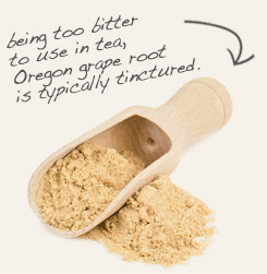 [ oregon graperoot powder tip: Pair chaparral with Oregon graperoot to use as a topical wound powder.  ~ from Monterey Bay Herb Company ]