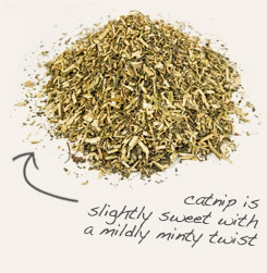 [ tip: Tincture or encapsulate feverfew with catnip, which shares a similar pharmacology with feverfew. ~ from Monterey Bay Herb Company ]