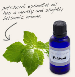 [ tip: Combine with patchouli essential oil to make colognes, perfumes and aroma sprays. ~ from Monterey Bay Herb Company ]