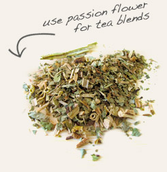 [ tip: Combine St. John's wort with passion flower in tinctures. ~ from Monterey Bay Herb Company ]