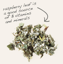 raspberry leaf