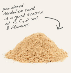 dandelion root powder
