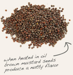 [ tip: Combine whole dill seed with mustard seed in pickling spice blends.  ~ from Monterey Bay Herb Company ]