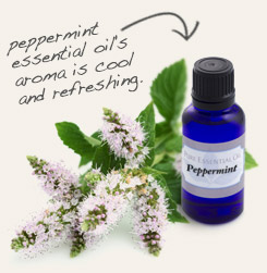 [ tip: Dilute patchouli and peppermint essential oils together and massage onto the neck or temples to help relieve tension.  ~ from Monterey Bay Herb Company ]