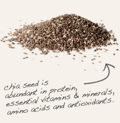 chia seed