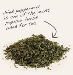 [ tip: Combine with peppermint in tea blends to improve flavor.   ~ from Monterey Bay Herb Company ]