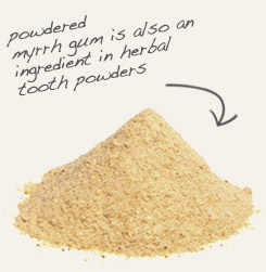 [ tip: Combine powdered frankincense tears with myrrh when making incense blends. ~ from Monterey Bay Herb Company ]