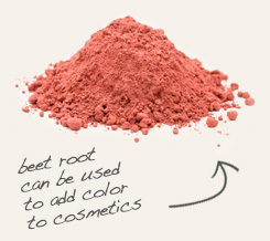 [ beet root tip: Mix Vietnamese cinnamon with beet root powder to get different shades of foundation or blush. ~ from Monterey Bay Herb Company ]