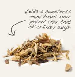 licorice root