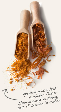 [ mace tip: Combine whole cloves with ground mace in baked foods and in Indian curries.   ~ from Monterey Bay Herb Company ]