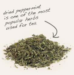 [ tip: Combine lemon balm with peppermint in tea blends.   ~ from Monterey Bay Herb Company ]