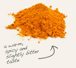 turmeric root powder