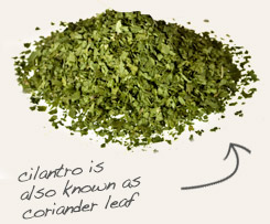 cilantro