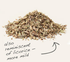 fennel