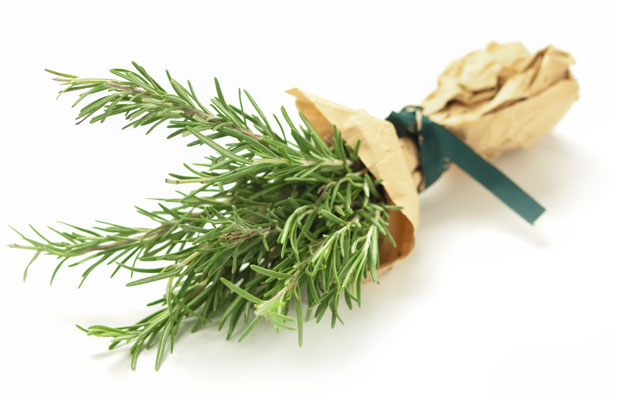 Rosemary for Remembrance ~ by HERBCo.com