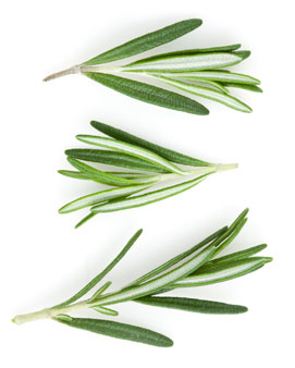 rosemary