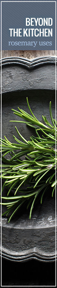 [ The Lure of Lavender: In the Kitchen and Bath ] ~ from Monterey Bay Spice