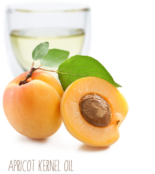 [ apricot kernel carrier oil ] ~ from Monterey Bay Herb Company