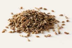 [ Info: anise ] ~ from Monterey Bay Herb Company