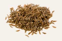 [ Info: caraway seed ] ~ from Monterey Bay Herb Company