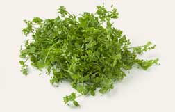 [ Info: chickweed ] ~ from Monterey Bay Herb Company