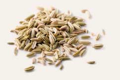 [ Info: fennel seed ] ~ from Monterey Bay Herb Company